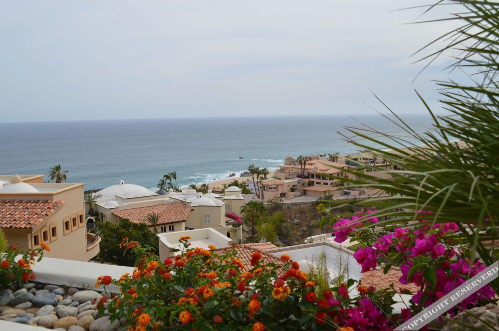 Villa Las Flores Cabo San Lucas Exterior photo