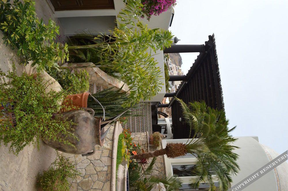 Villa Las Flores Cabo San Lucas Exterior photo